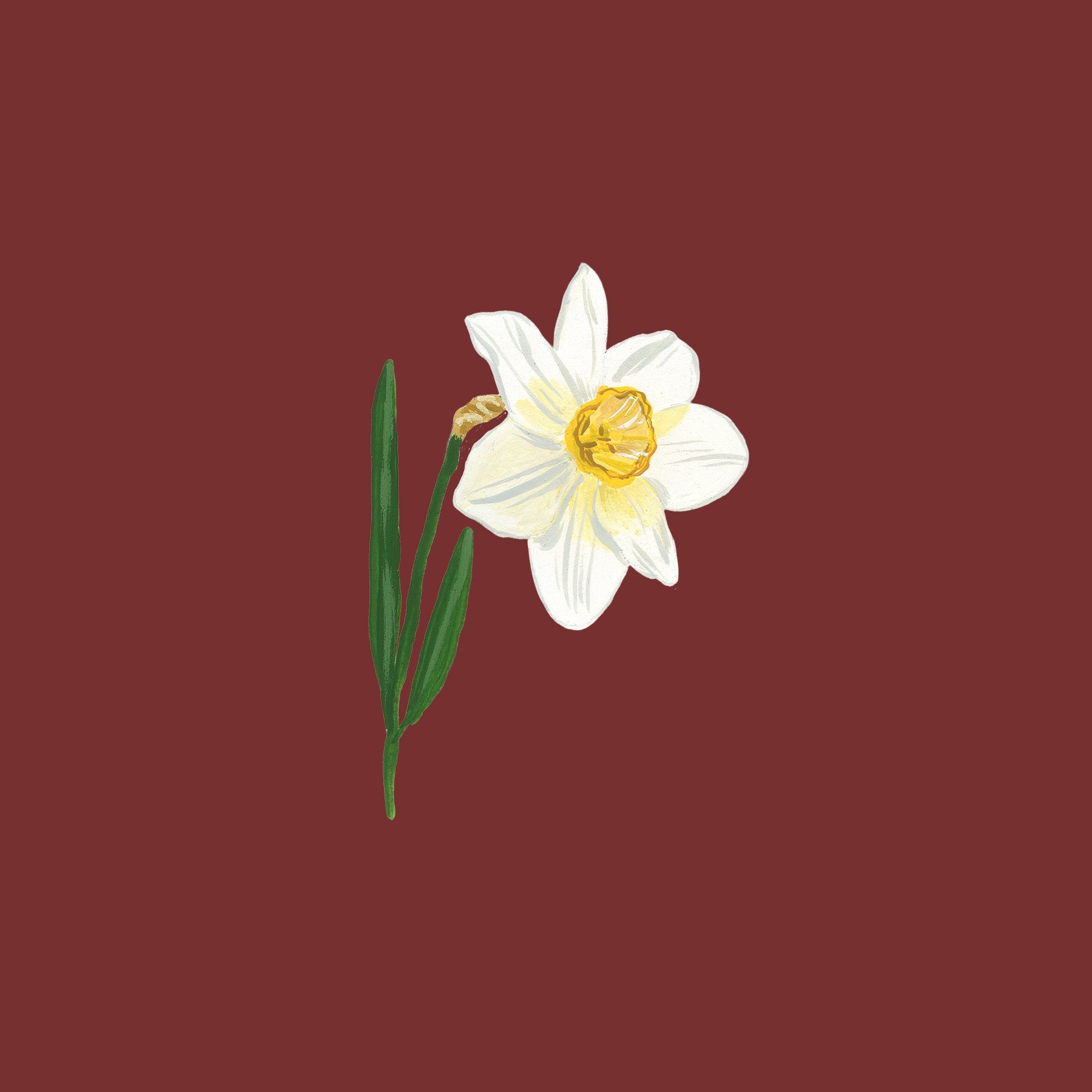 Birth Month Florals