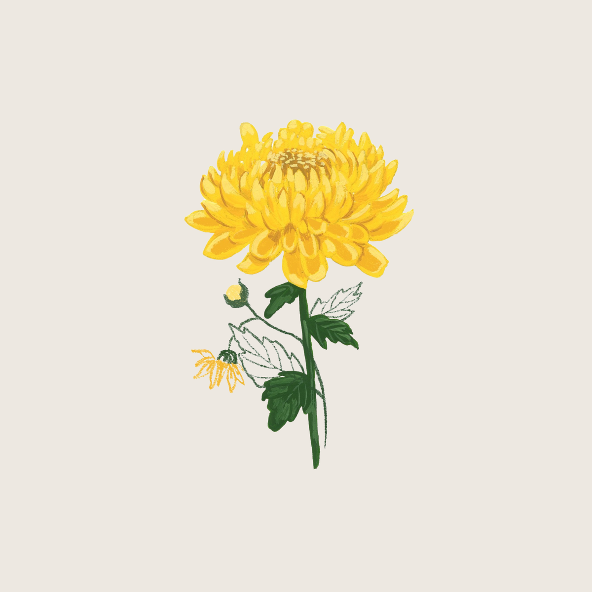 November