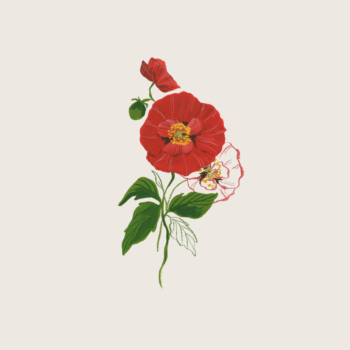 August