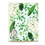 Greenhouse Blank Card