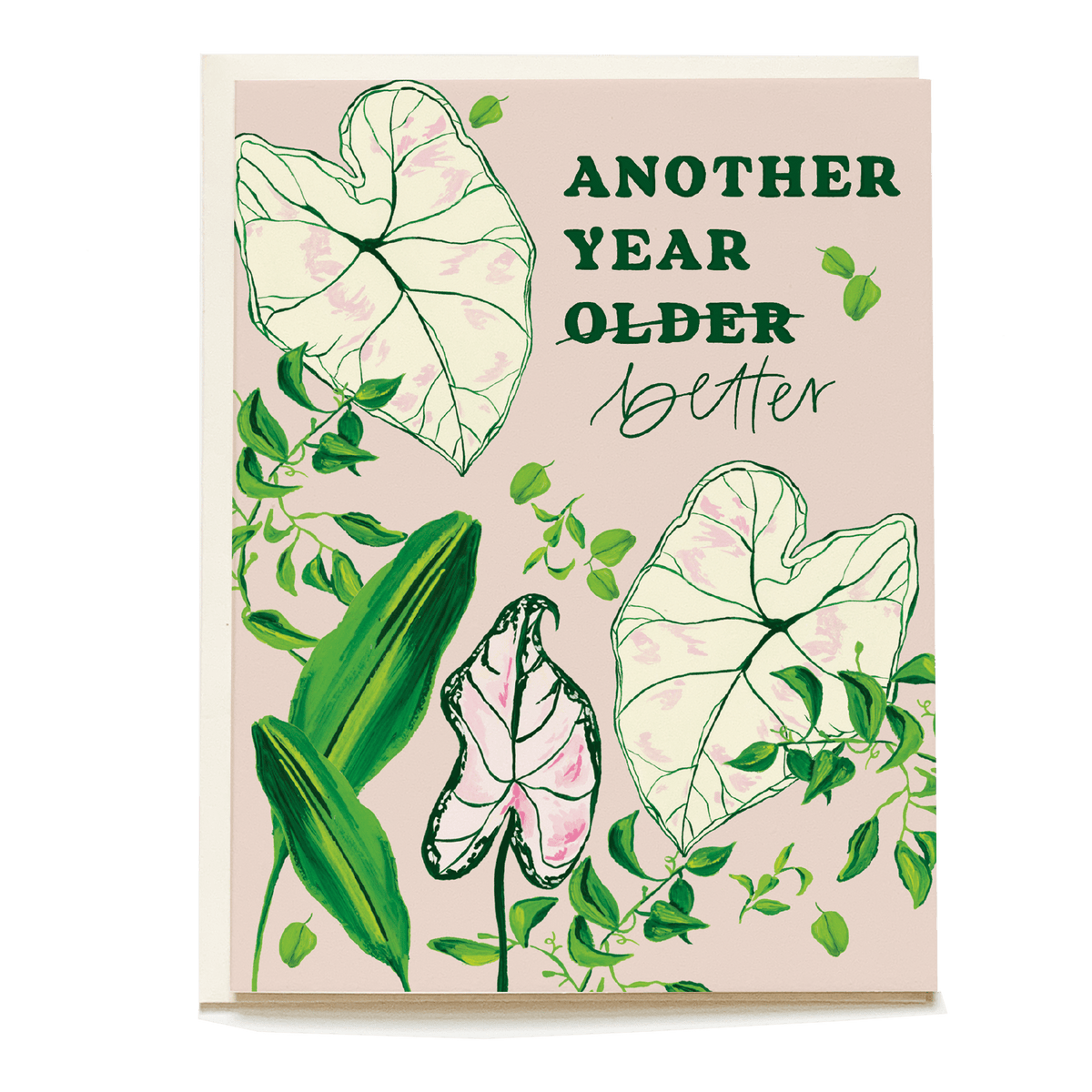 Greenhouse birthday card featuring leafy illustrations and the text "Another year older, better" on a soft pink background.