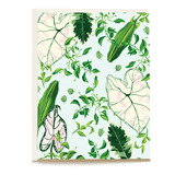 Blank card featuring a botanical design with green leaves and pink accents on a light blue background.