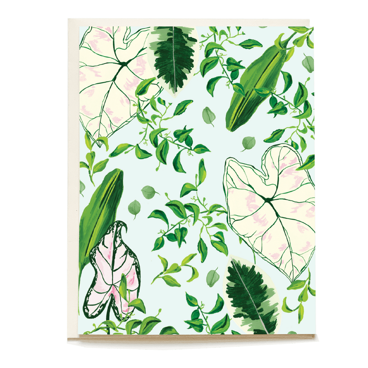 Blank card featuring a botanical design with green leaves and pink accents on a light blue background.