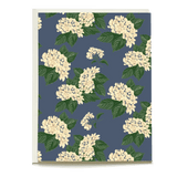Hydrangea blank card featuring white flowers and green leaves on a dark blue background.