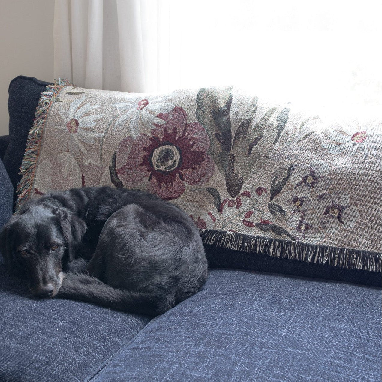 Meadow woven blanket draped over a dark blue couch, with a black dog curled up beside it.